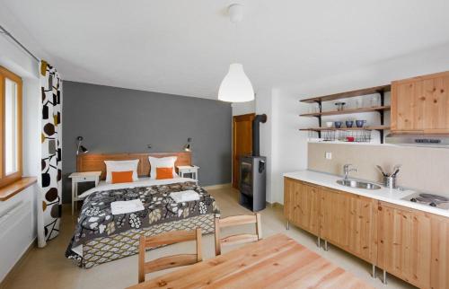 a bedroom with a bed and a kitchen with a sink at Penzion Blanko in Nová Bystřice