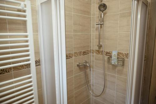 a shower with a shower head in a bathroom at Penzion Sudomír in Sudoměřice