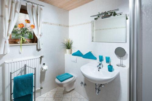 シェーナウ・アム・ケーニッヒスゼーにあるFerienwohnung Drachllehenのバスルーム(洗面台、トイレ、鏡付)