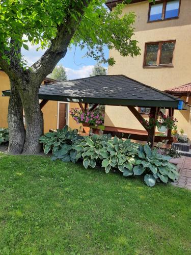 un cenador con un montón de plantas junto a un árbol en Dom pod orzechami - Apartament, en Nałęczów