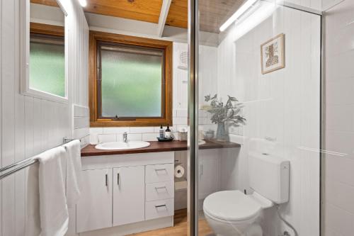 a bathroom with a toilet and a sink at Kiewa Country Cottages in Mount Beauty