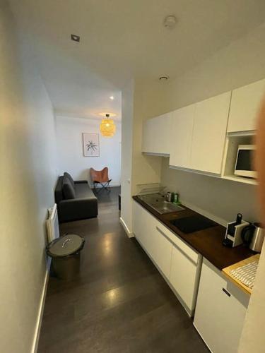 une cuisine et un salon avec un canapé dans l'établissement Cosy appartement 3 hypercentre, à Lille