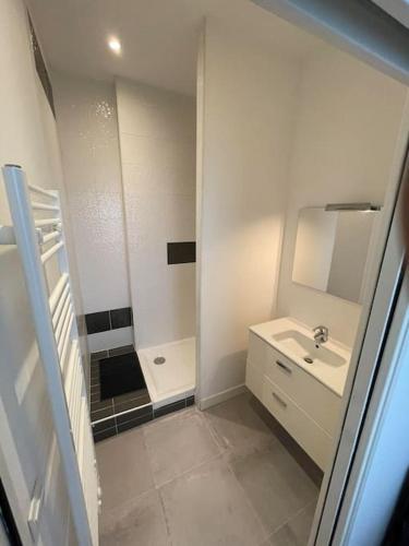 une petite salle de bain avec un lavabo et un miroir dans l'établissement Cosy appartement 3 hypercentre, à Lille