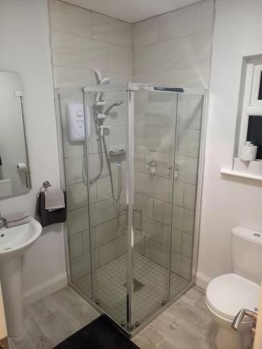 a glass shower in a bathroom with a toilet at Tadgh's Cottage in Ennis
