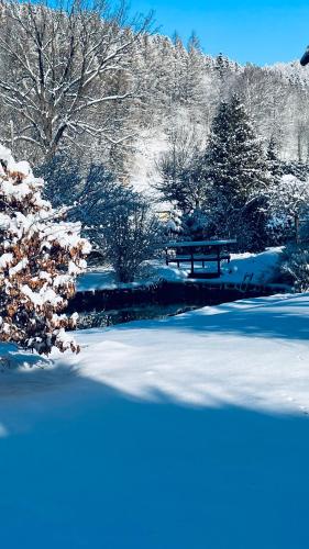 a snow covered park with a bench and trees at Hotel Slatina in Lipova Lazne