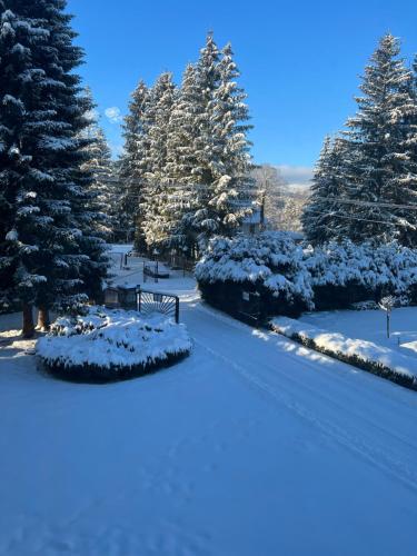 a snow covered park with trees and a bench at Hotel Slatina in Lipova Lazne