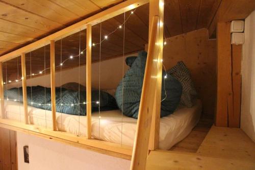 łóżko piętrowe w domku z oświetleniem w obiekcie Rad - Wanderparadis Tiroler Zugspitze Arena Ehrwald w mieście Ehrwald