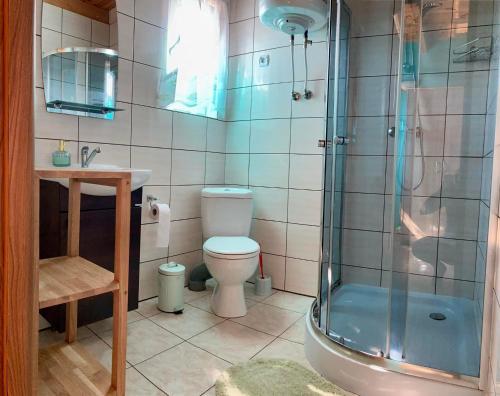 a bathroom with a shower and a toilet and a sink at Domki wczasowe u Ewy in Chłopy