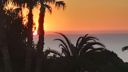 Beach Life Gran Alacant Amaneceres de ensueno