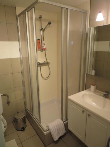 W łazience znajduje się prysznic i umywalka. w obiekcie Les Renardeaux w mieście Malmedy