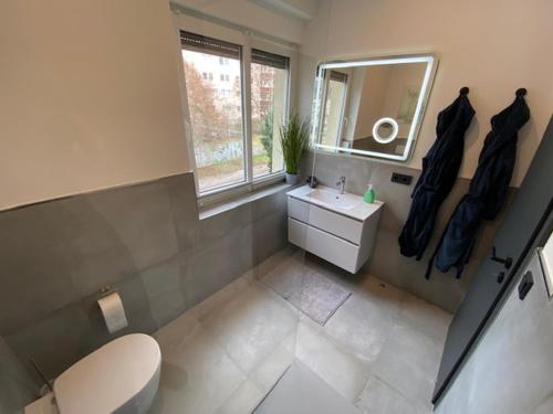 uma casa de banho com um WC, um lavatório e um espelho. em Ferienhaus Deluxe em Halle an der Saale