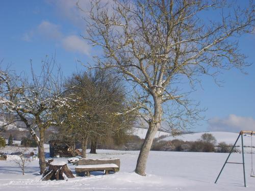 a bench and a tree in the snow at Casa Rural Bentazar in Elosu
