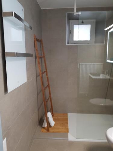 a ladder in a bathroom with a shower and a sink at Appartement Randogne avec grande terrasse in Crans-Montana