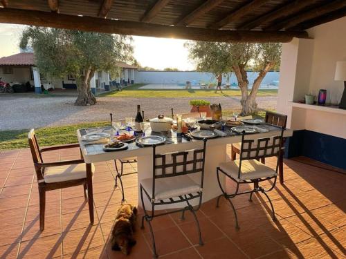 a table and chairs with a dog laying on a patio at Casa das Oliveiras in Avis