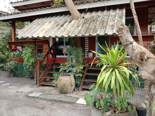 a house with a bunch of plants in front of it at Goodluck village house in Koh Mook