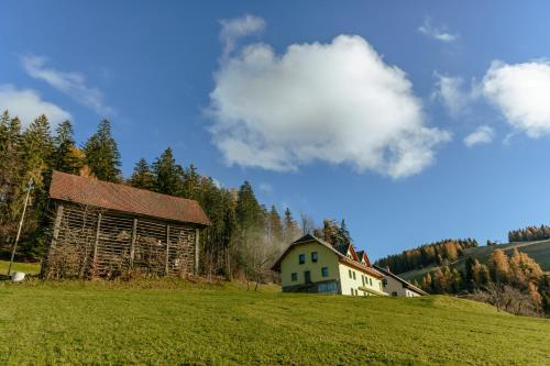 a house on a hill next to a barn at Apartments Čenda in Železniki
