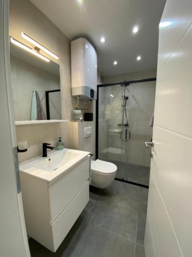 a bathroom with a toilet and a sink and a shower at Apartment MM22 in Peroj