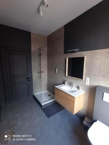 a bathroom with a sink and a shower at Le Kiosque in Ciney