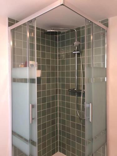 une douche avec une porte vitrée dans une salle de bain dans l'établissement Abbaye aux hommes, un charmant cocon pour 2,3 ou 4!, à Caen