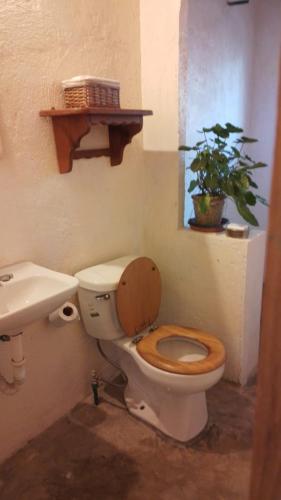 bagno con servizi igienici, lavandino e pianta di Casa de Kai Mazunte a Mazunte