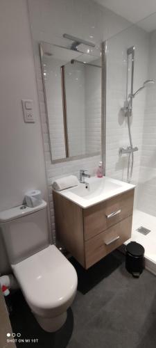 une salle de bain avec un lavabo, des toilettes et un miroir dans l'établissement Studio Gare - Jardin des Plantes - wifi & calme, à Nantes