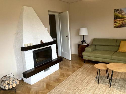sala de estar con sofá y chimenea en Vila Mir - Apartment, en Begunje na Gorenjskem