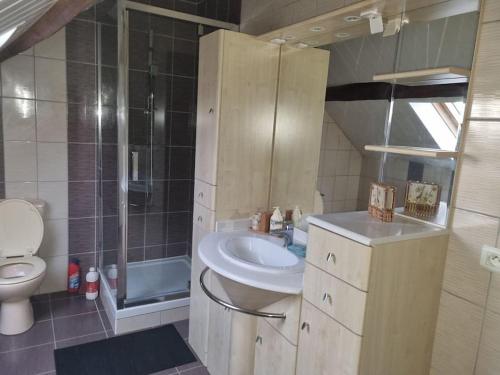 een badkamer met een wastafel en een toilet bij maison en centre-ville aéroport in Roissy-en-France