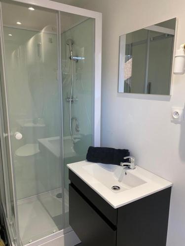 une salle de bain avec une douche en verre et un lavabo dans l'établissement studio rouge, à Arras