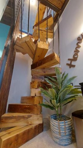a wooden staircase with a potted plant next to it at ART - Balcescu in Sibiu