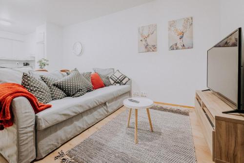 a living room with a couch and a tv at Apartment, SleepWell, Tyynimeri with private parking and optional private sauna in Helsinki