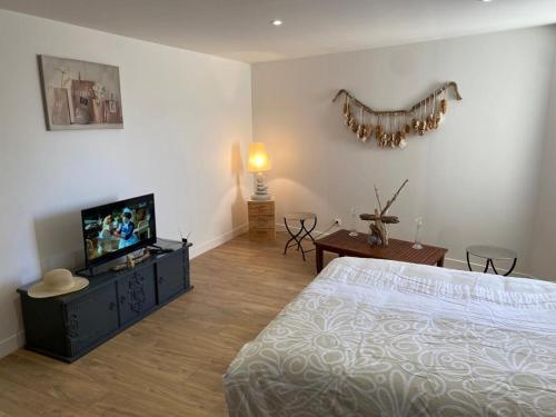 Schlafzimmer mit einem Bett und einem Flachbild-TV in der Unterkunft studio naturel in Arras