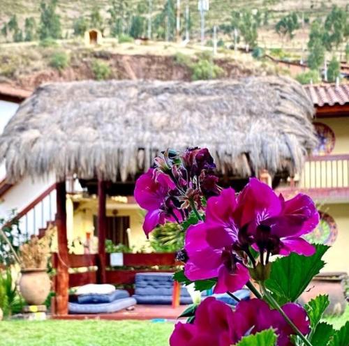 a bunch of purple flowers in front of a hut at Hospedaje Chaska Pisac in Pisac