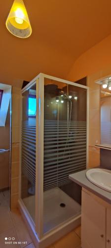 une salle de bain avec douche et lavabo dans l'établissement LA ROSE TREMIERE, à Erdeven