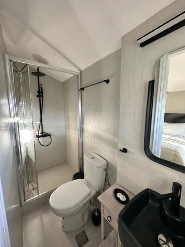 a bathroom with a toilet and a shower and a sink at BYZANTIUM Suite with view in Ermoupoli