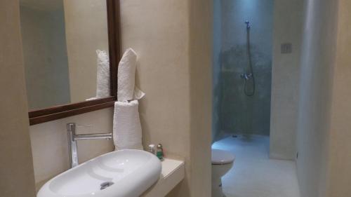 a bathroom with a sink and a toilet and a shower at Riad Maialou & SPA in Marrakech