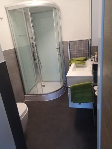 uma casa de banho com um chuveiro, um WC e um lavatório. em HomeW4 - Rosen Apartment em Hoheneich