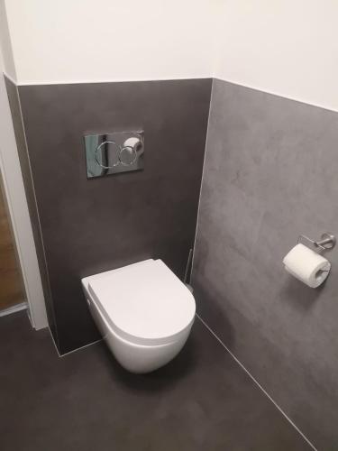 baño con aseo blanco y papel higiénico en HomeW4 - Rosen Apartment, en Hoheneich