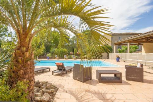 een palmboom voor een zwembad bij La Maison Grenadine près du canal du midi in Tourouzelle