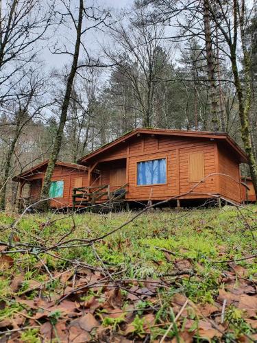 a wooden cabin in the middle of a forest at Bungalows da Peneda in Lamas de Mouro