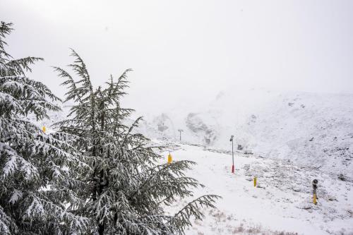a snow covered hill with a pine tree in the foreground at Hotel Maribel in Sierra Nevada