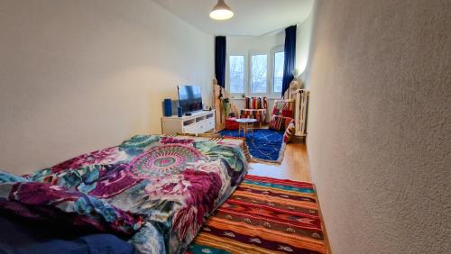 um quarto com uma cama e uma televisão em Cozy Private Room in The Heart Of Zürich City em Zürich