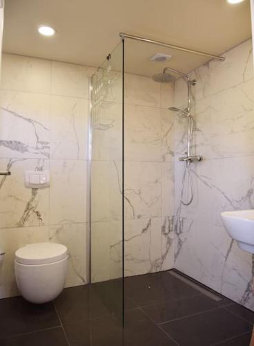 a bathroom with a shower and a toilet and a sink at Forsthaus Lelkendorf in Lelkendorf