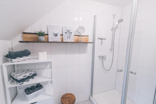 baño con ducha y puerta de cristal en Ferienwohnung In den Wiesen, en Wesel