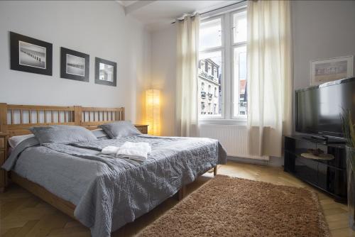 1 dormitorio con 1 cama y TV de pantalla plana en Apartment Dusni, en Praga