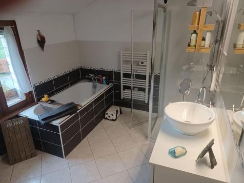 uma casa de banho com uma banheira, um lavatório e um chuveiro em Gite de la Grande Verrerie 6 personnes RIBEAUVILLE em Ribeauvillé