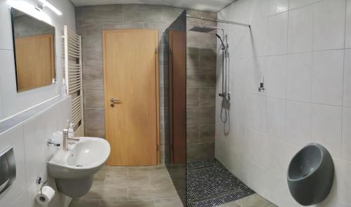 a bathroom with a shower and a sink and a toilet at Mones Monteur- und Ferienwohnung in Klötze