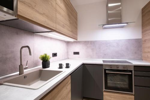 a kitchen with a large sink and a stove at Palazzo Chimelli in Pergine Valsugana