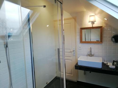 a bathroom with a glass shower and a sink at Hôtel La Villa Eugene in Épernay