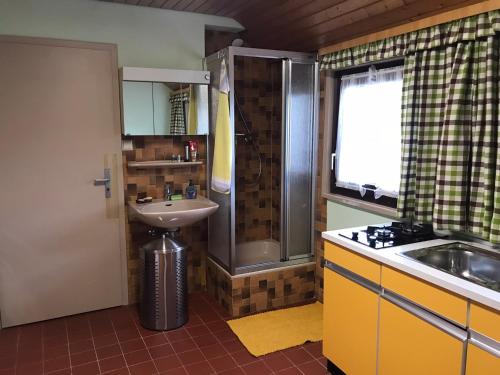 y baño pequeño con lavabo y ducha. en Retro Ferienwohnung mit Schlossblick im Nordschwarzwald, en Altensteig