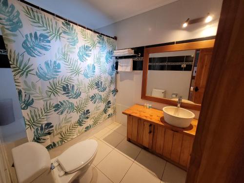 uma casa de banho com um WC, um lavatório e um espelho. em Te Ariki - Adults Only em Hanga Roa